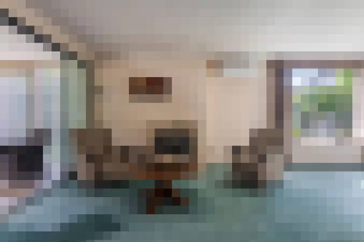 Hertenlaan 9 Hoeven thumbnail 8