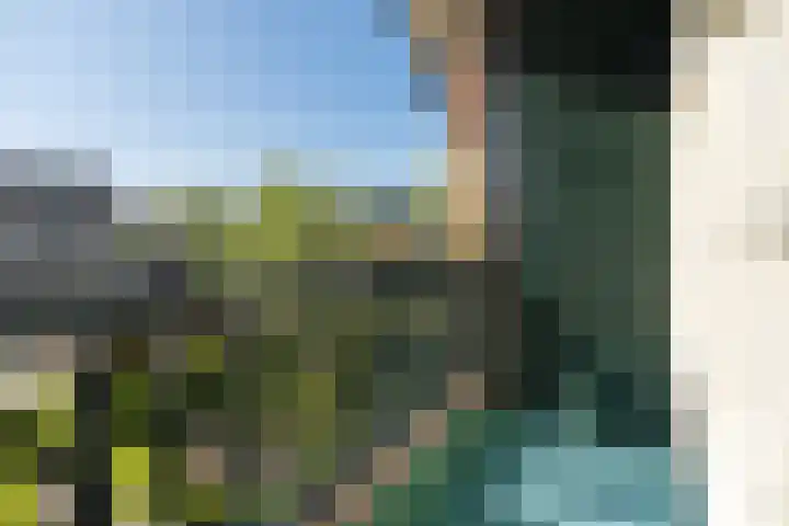 Hertespoor 26 Barneveld thumbnail 32