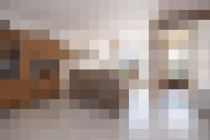 Hertespoor 26 Barneveld thumbnail 40