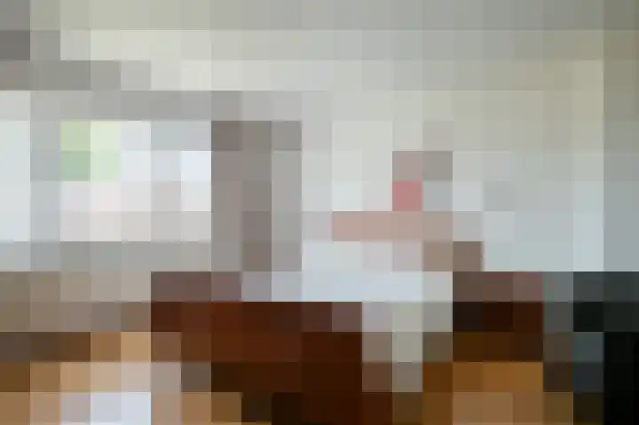 Hertestraat 10 Linne thumbnail 12