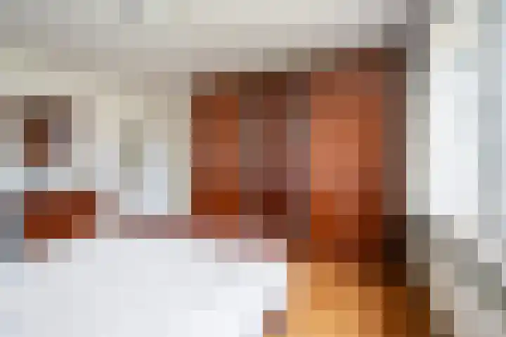 Hertestraat 10 Linne thumbnail 13