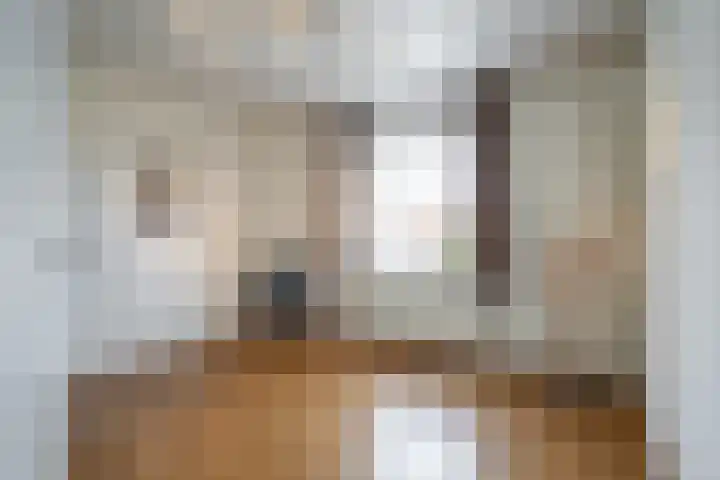 Hertestraat 10 Linne thumbnail 14