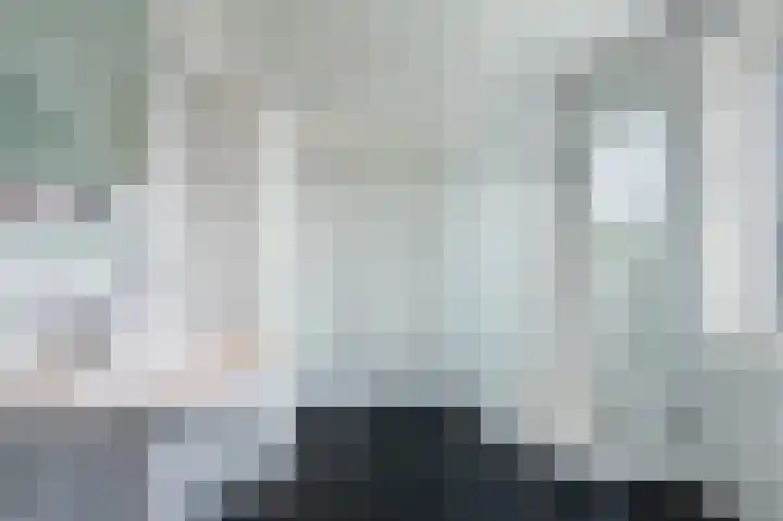 Hertestraat 10 Linne thumbnail 16