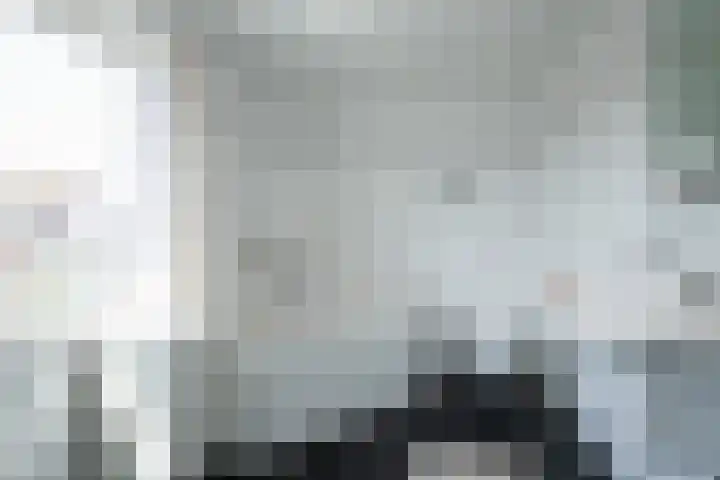 Hertestraat 10 Linne thumbnail 17