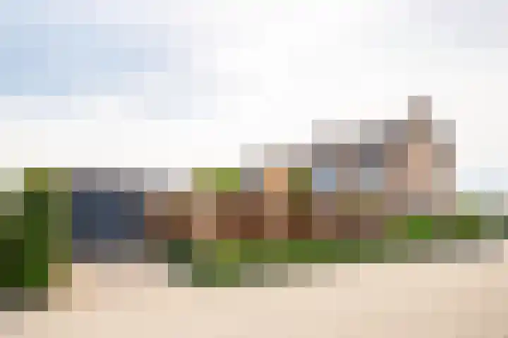 Hertestraat 10 Linne thumbnail 22