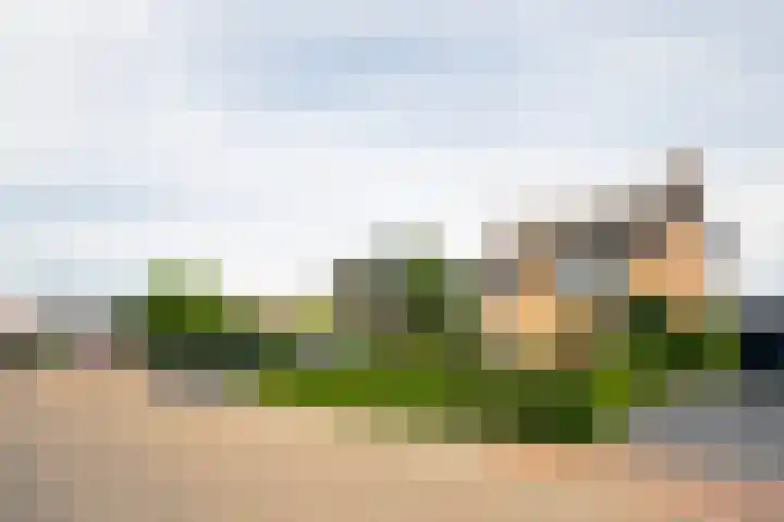 Hertestraat 10 Linne thumbnail 23