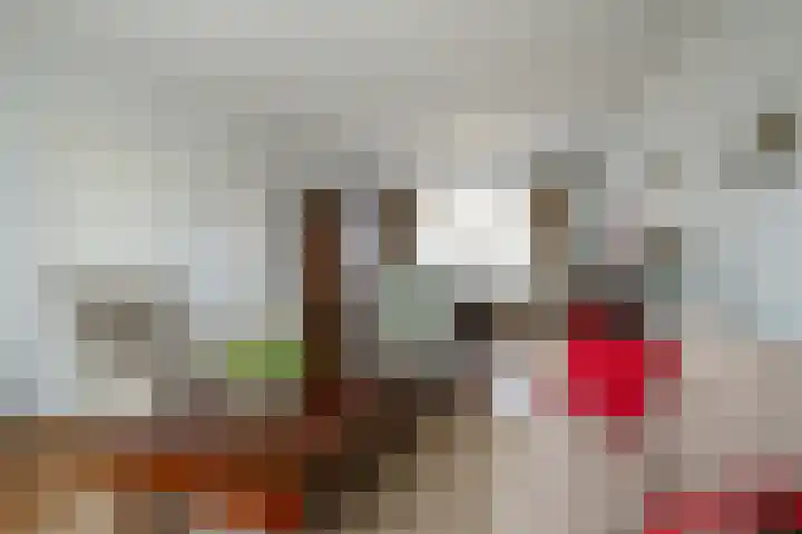 Hertestraat 10 Linne thumbnail 5