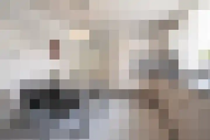 Hertestraat 10 Linne thumbnail 6