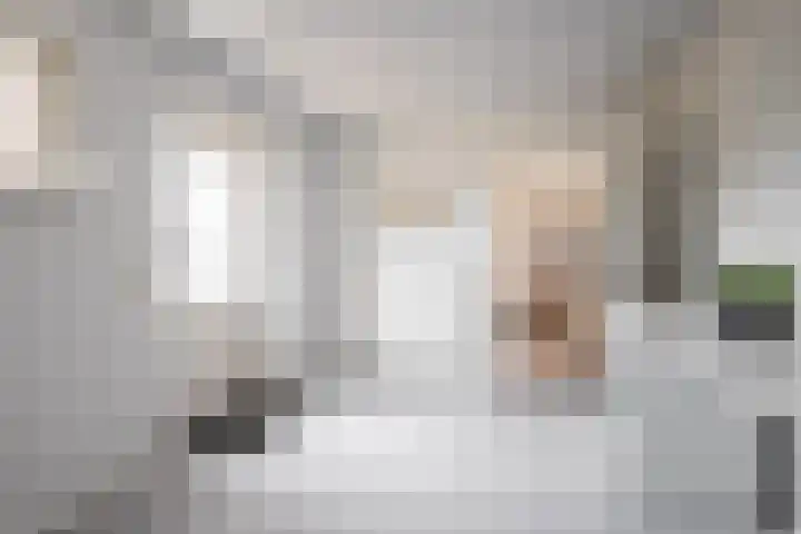 Hertestraat 10 Linne thumbnail 8