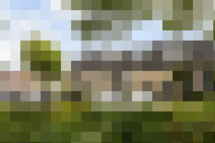 Herteveld 3 IJsselstein thumbnail 35