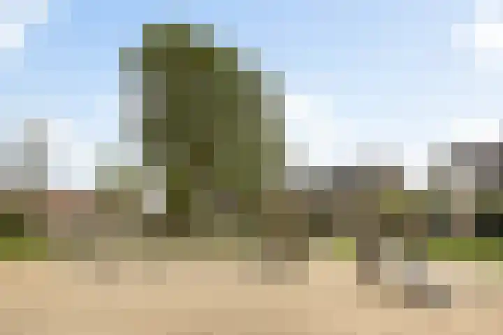 Herteveld 3 IJsselstein thumbnail 37
