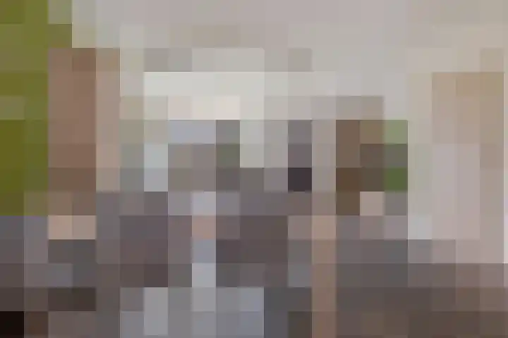 Hertewissel 101 Oss thumbnail 14