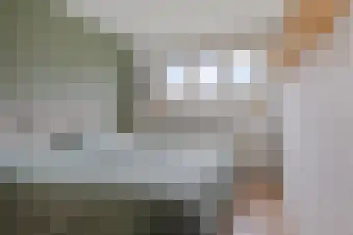 Hertewissel 101 Oss thumbnail 20