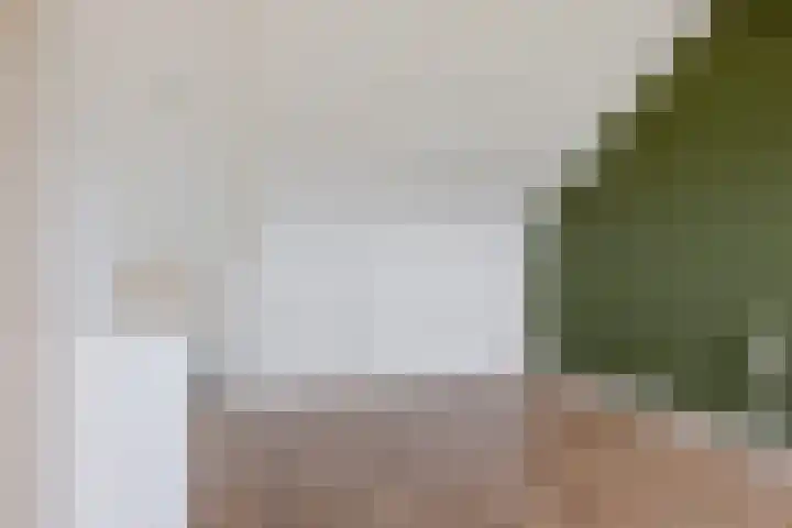 Hertewissel 101 Oss thumbnail 34