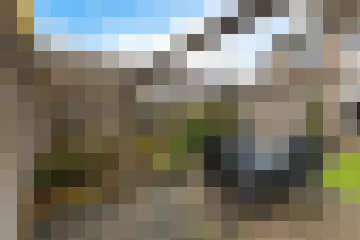 Hertewissel 101 Oss thumbnail 41