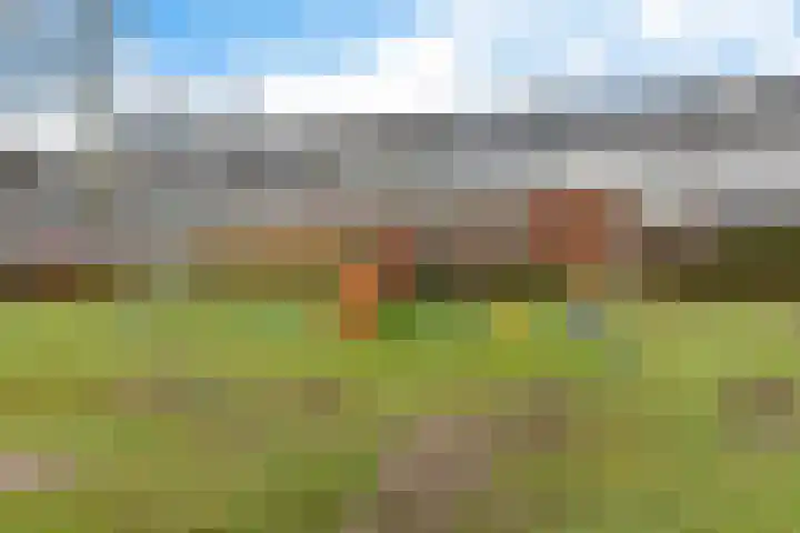 Hertewissel 101 Oss thumbnail 48