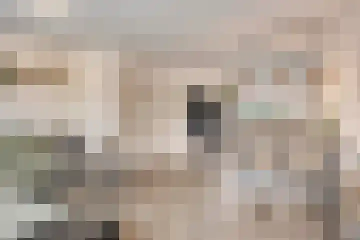 Hertgang 33 Veldhoven thumbnail 4