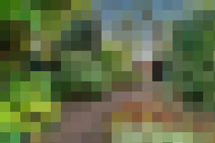 Hertog Govertkade 12 Delft thumbnail 22