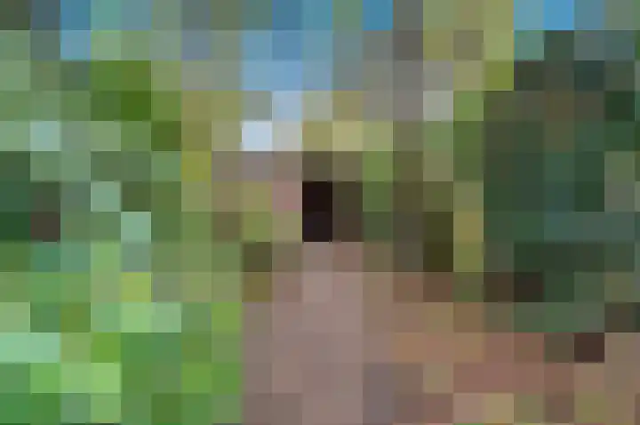 Hertog Govertkade 12 Delft thumbnail 24
