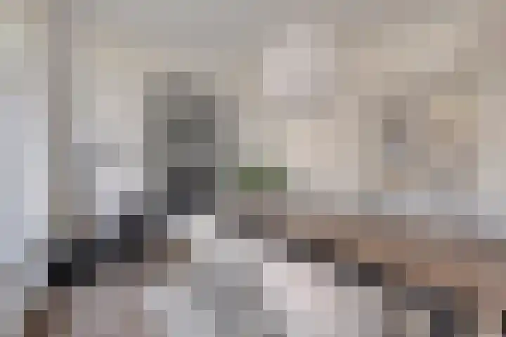 Hertog Govertkade 4 Delft thumbnail 5