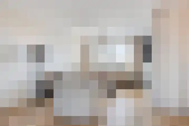 Hertog Janstraat 40 Lith thumbnail 13