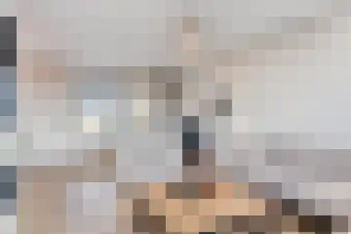 Hertog Janstraat 40 Lith thumbnail 14