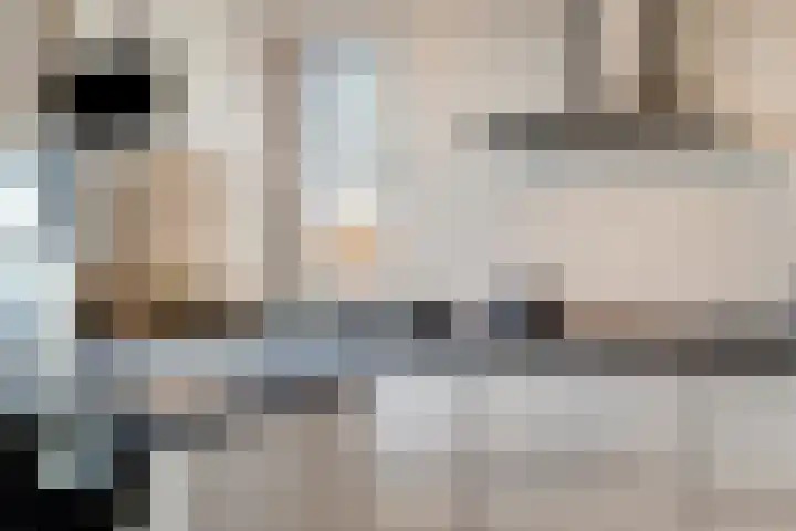 Hertog Janstraat 40 Lith thumbnail 20