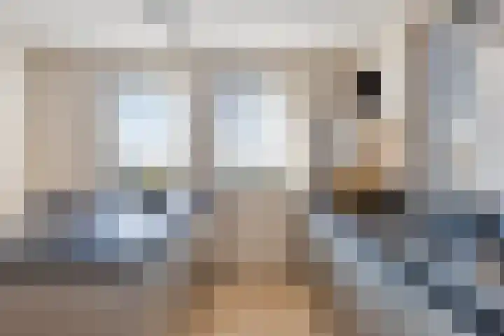 Hertog Janstraat 40 Lith thumbnail 24