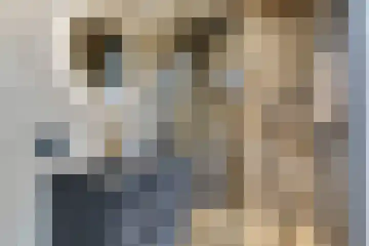 Hertog Janstraat 40 Lith thumbnail 33