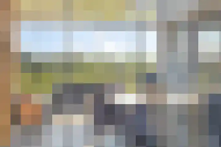 Hertog Janstraat 40 Lith thumbnail 37