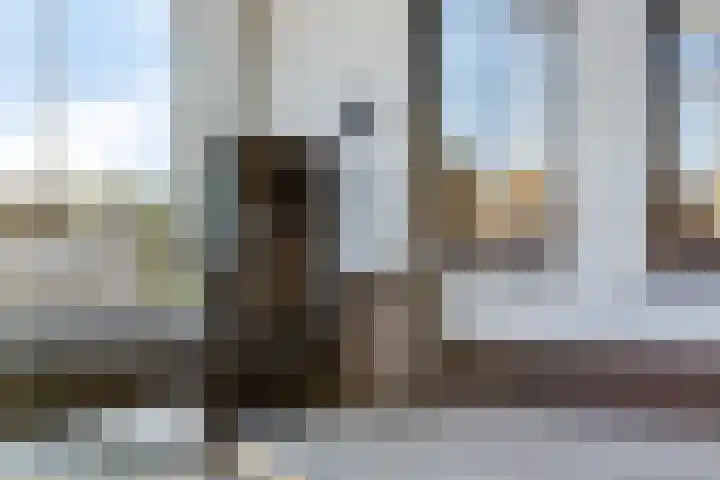 Hertog Janstraat 40 Lith thumbnail 38