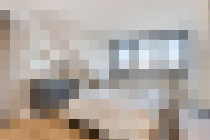 Hertog Janstraat 40 Lith thumbnail 47