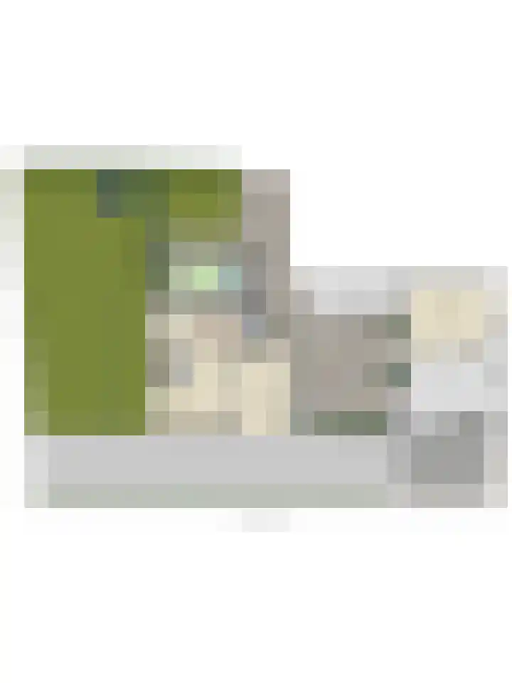 Hertog Janstraat 40 Lith thumbnail 63