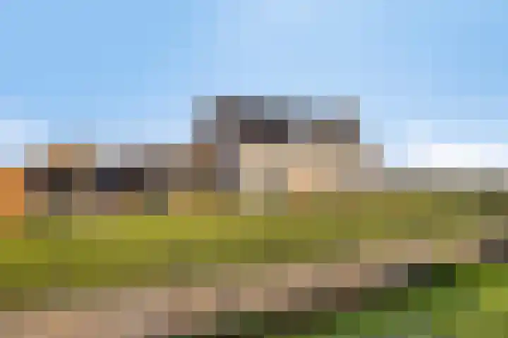 Hertog Janstraat 40 Lith thumbnail 8