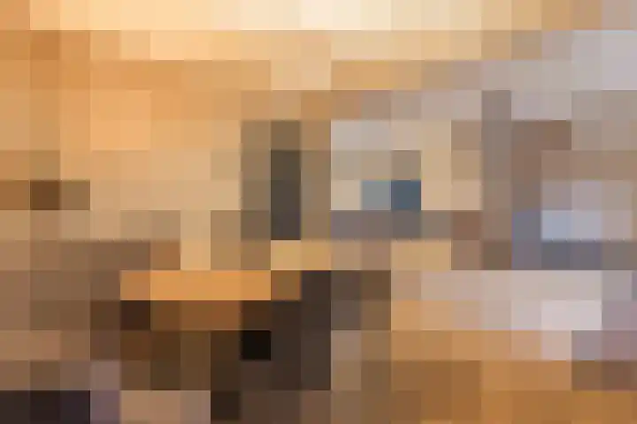 Hertog Karellaan 26 Cuijk thumbnail 11