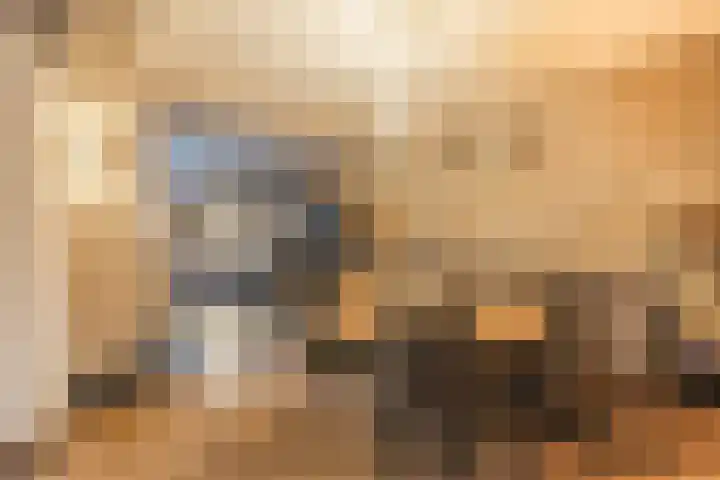 Hertog Karellaan 26 Cuijk thumbnail 12