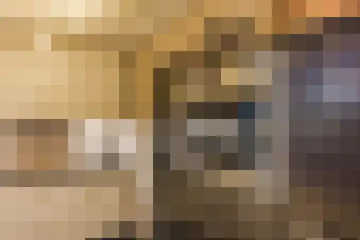 Hertog Karellaan 26 Cuijk thumbnail 13
