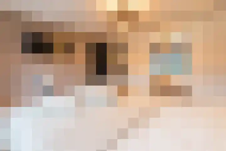 Hertog Karellaan 26 Cuijk thumbnail 18