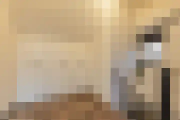 Hertog Karellaan 26 Cuijk thumbnail 22