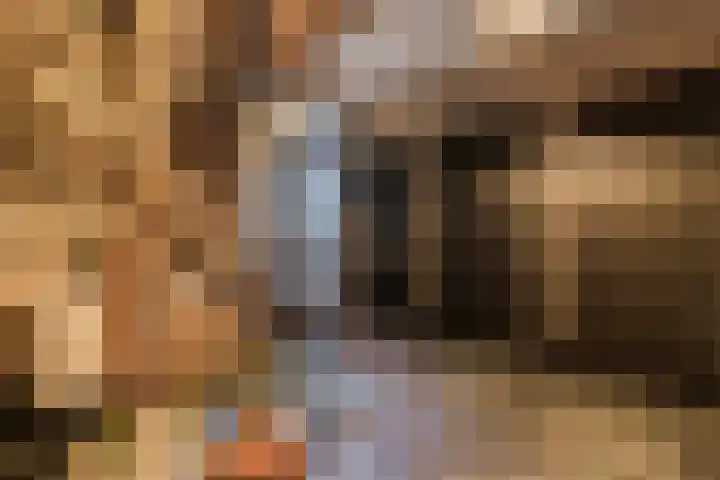 Hertog Karellaan 26 Cuijk thumbnail 6