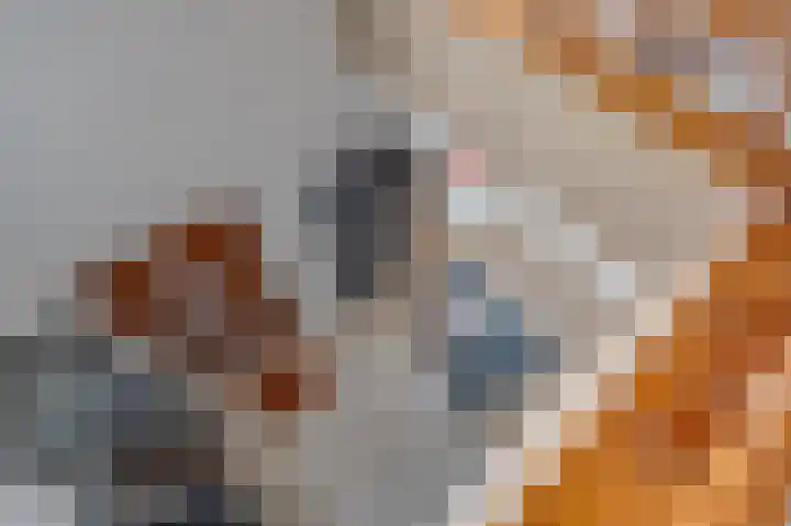 Hertogenhof 10 Goes thumbnail 24