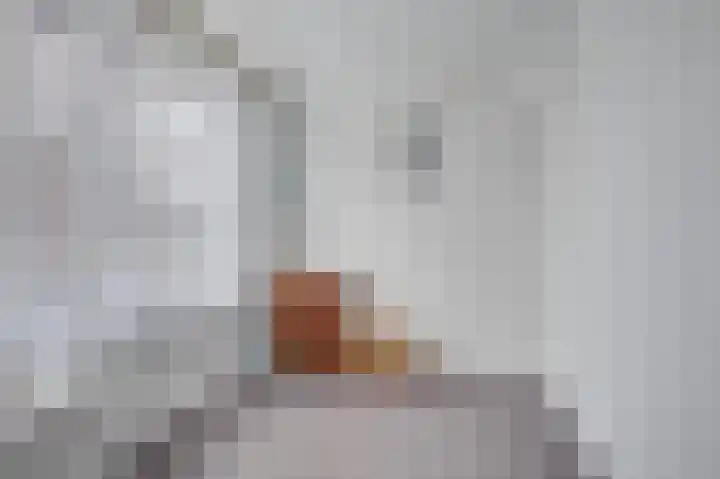 Hertogenhof 10 Goes thumbnail 32