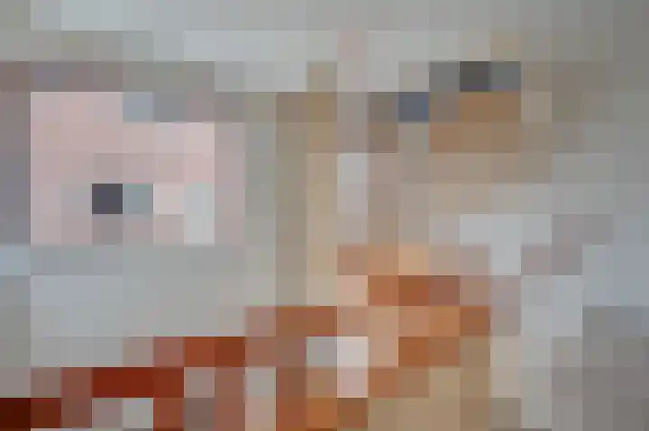 Hertogenhof 10 Goes thumbnail 34