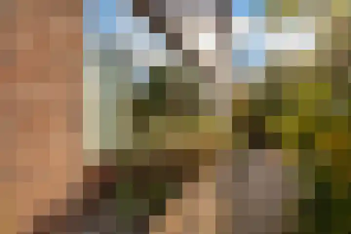 Hertogenhof 10 Goes thumbnail 4