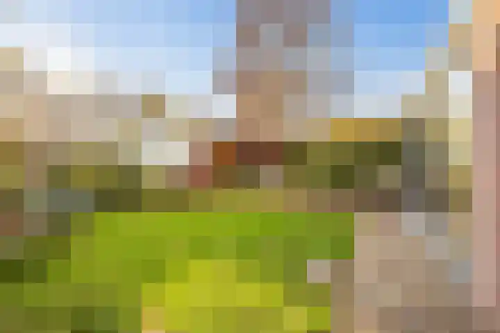 Hertogenhof 10 Goes thumbnail 47