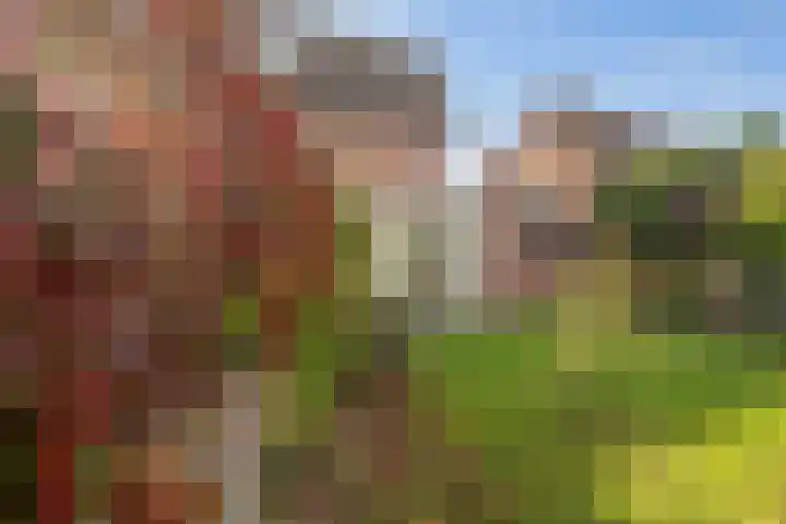 Hertogenhof 10 Goes thumbnail 49