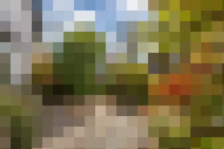 Hertogenhof 10 Goes thumbnail 5