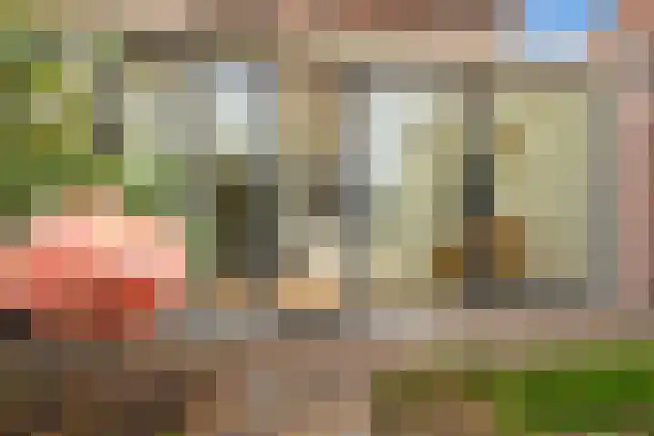 Hertogenhof 10 Goes thumbnail 50