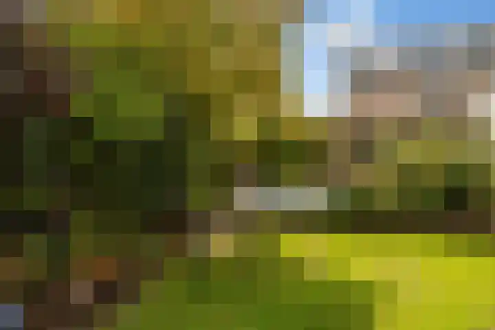 Hertogenhof 10 Goes thumbnail 51