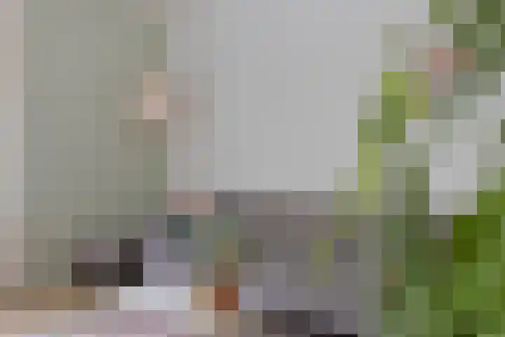 Hertogenhof 8 Goes thumbnail 10